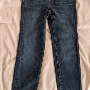 American Eagle Outfitters Dark Blue Straight Leg Jeans